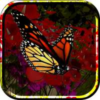 Butterflies Live Wallpaper logo