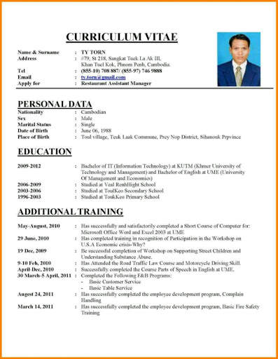 CV Format 2019 скриншот 3