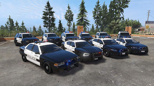 Mengemudi mobil polisi screenshot 3