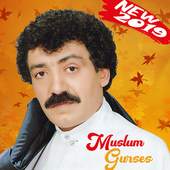 Müslüm Gürses 9.7