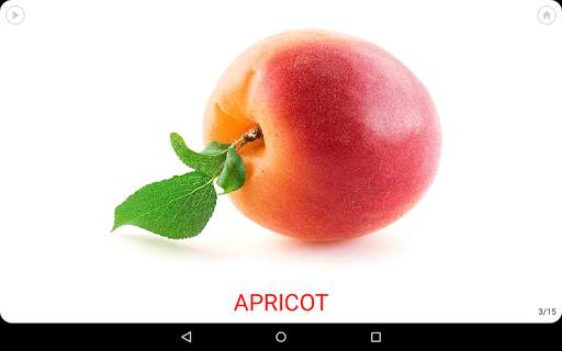 Little flash cards screenshot 14