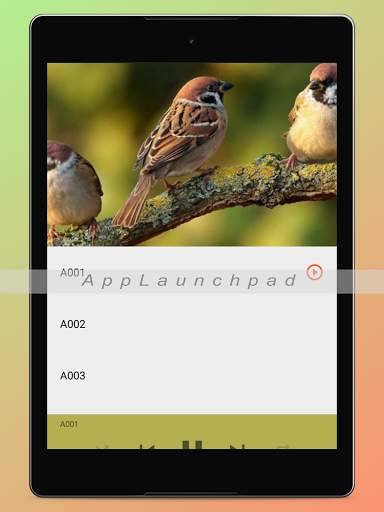 Bird Songs Ringtones screenshot 16