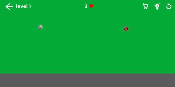 Cricket Balls screenshot 4