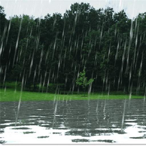 Rain Live Wallpaper 2.0