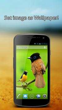 Cortar Pegar Photo Editor screenshot 11