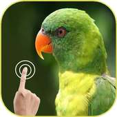 Blur Photo Editor logo