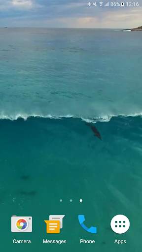 Dolphins Video Live Wallpaper screenshot 6