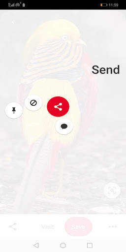 Downloader for Pinterest screenshot 4
