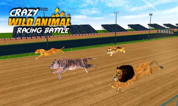 Crazy Wild Animal Racing Battle screenshot 6
