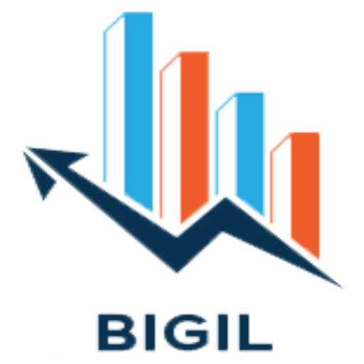 Bigil 0.0.1