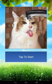 Cats Funny Puzzle screenshot 7