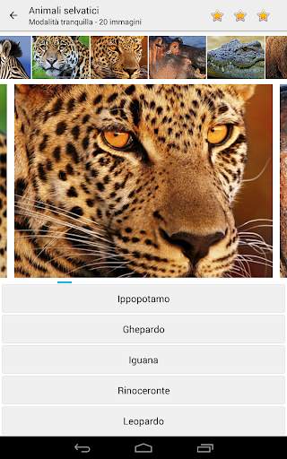 Foto Quiz - Indovina immagini screenshot 5