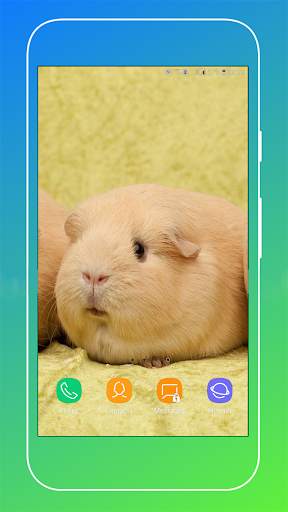 Guinea Pig Wallpaper screenshot 7
