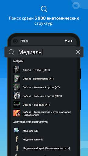 vet-Anatomy скриншот 3