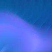 Blued Live Wallpaper 1.0