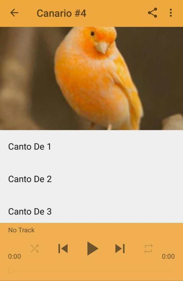 Canto De Canario Timbrado 5 تصوير الشاشة