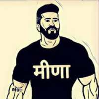 Meena Ji Status