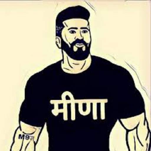 Meena Ji Status 1.1.1