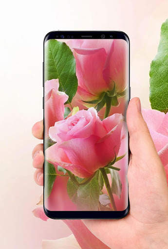 Beautiful Rose Free Live Wallpaper screenshot 5