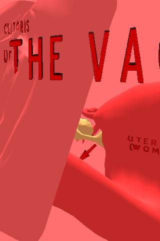 Vagina 3D screenshot 2