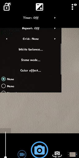 Pi Camera screenshot 3