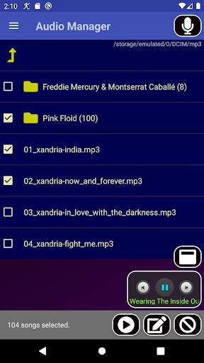 MP3 Folder Player and Recorder screenshot 2