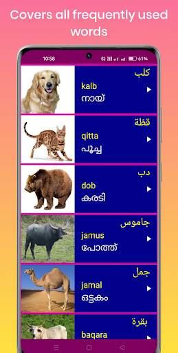 Learn Arabic From Malayalam screenshot 5