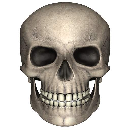 Date of your death Simulator 1.1