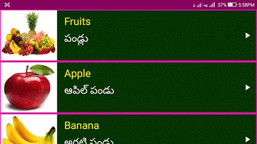 Learn English From Telugu screenshot 15