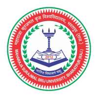 MAHARAJA SURAJMAL BRIJ UNIVERSITY icon