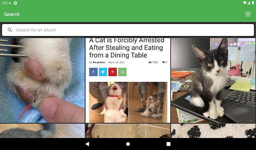 Imgur Browser screenshot 9