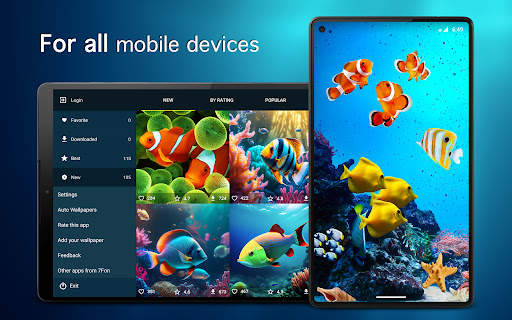 Fish Wallpapers 4K screenshot 6