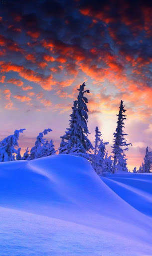 Winter Wallpaper 4K screenshot 11