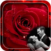 Macro Rose Photo Frames icon