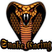 Snake cacing иконка