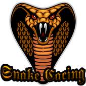 Snake cacing 1.0.0