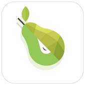 Pear Camera 2.49