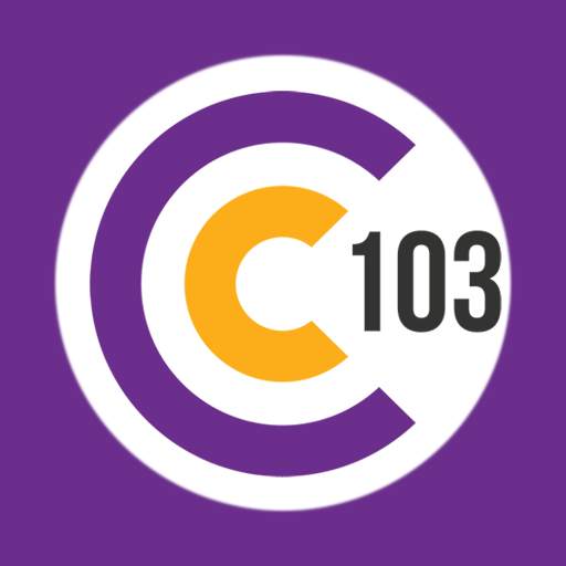 C103 Cork 16.0.450.1