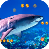 3D Angry Shark आइकन