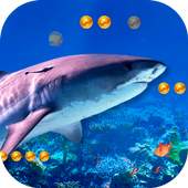 3D Angry Shark 1.4.1