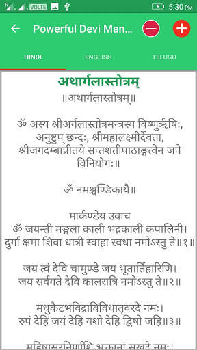 Powerful Devi Mantra screenshot 4