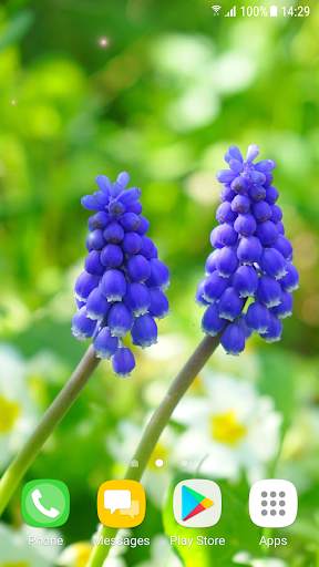 Beautiful Spring Flowers Live Wallpaper screenshot 5