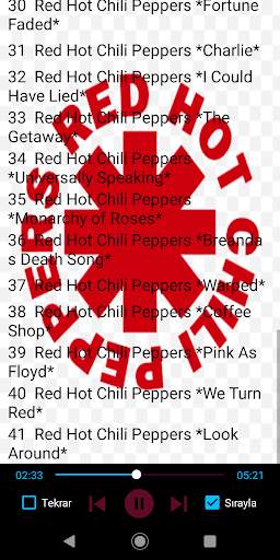 Red Hot Chili Peppers Best Songs Offline screenshot 4