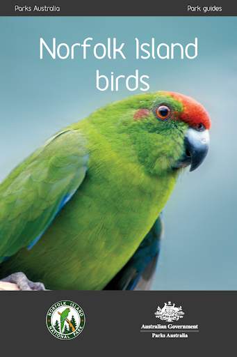 Norfolk Island Birds screenshot 1