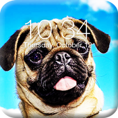 Pug Dog App Lock icon