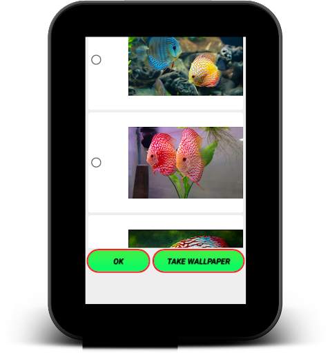 Discus Aquarium Live Wallpaper screenshot 11