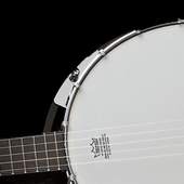 Banjo Tuner N Banjo Chords 2.1