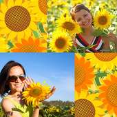 Sunflowers Photo Collage logo