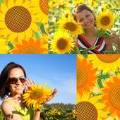 Sunflowers Photo Collage 1.3