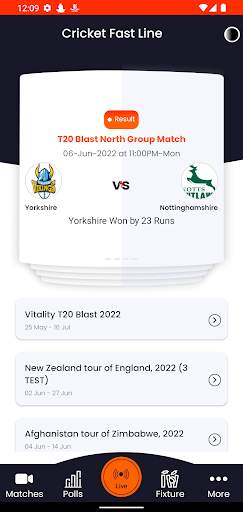 Cricket Fast Line screenshot 2